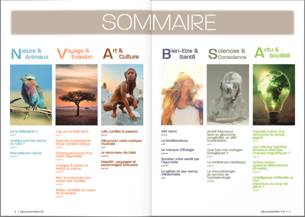 DMAG-15_Sommaire