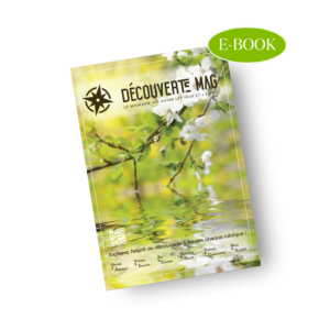 MAG16-e-book_scriptis boutique 300 x 300 px